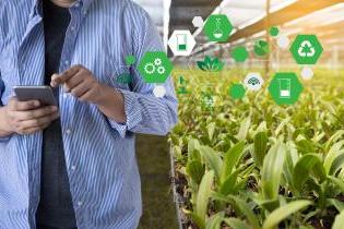 plants and person holding iphone with scientific symbol icons